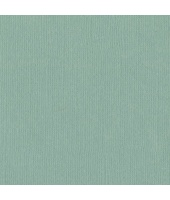 16722_506ae6d291852109a0d55fe82763c9ab