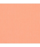 27442_eeeebb5a20ea1ecf272b6a455132d63f