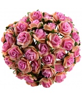 29905_79a4fc2403e04f724b6d6490a7a5a417