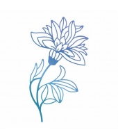 30851_389144c7c04ea351a9fa40ca5fd47c02