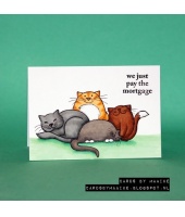 34973_f030b26bba06691a314758202d0fc4c2