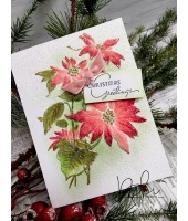 35339_4d435437c7dacf9c8f89672a0f95e6c4