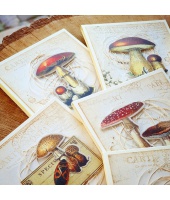 39203_a4984ca0e577cd25be268811aaaa5104