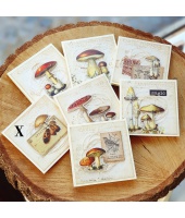 39204_921ee657de9af615e9e1fffeeb914047