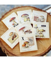 39208_8aec0f8b1cde6246c6735f968a776ab5