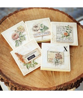 39215_5423585cadbab5333d6667f28fd2a2ab