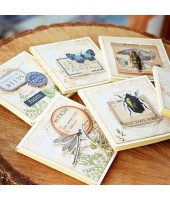 39223_509a67f992362c479e84e1a4af1fb981