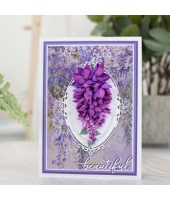 40036_af0d8fa07f743ef40f87e4ada8fe6aeb