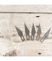 40429_291f9f55f12b84510891cd6db6bb753a