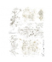 40516_a6e603bb1e0e546c4a12104b1e81f3a8