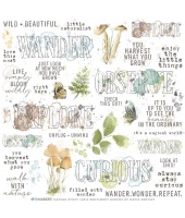 40523_0943832dcf982c666f63d57ac5735845