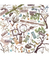 40528_f916b65bc0782b1d6af035ae2e4b3a68