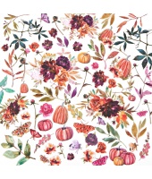 40531_5c62396e62e13104085724c61d3a00ac