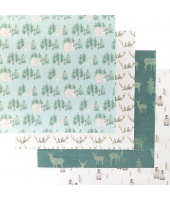 40709_bf4a261fd013c26f0d5a9c327d19b0c0