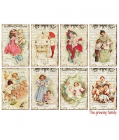 40917_4836589fea8eab123741b7e870611a24