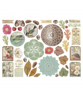 41039_a860e1f77ebdad1febe7c938499edfe6