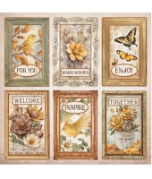 41076_5dd6e36cb2a54bc5ebe9bfe72676192a