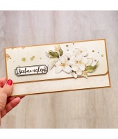 41137_6c08e85f155569595ed02fa33c8a35c5