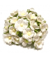 41185_e583c7c56a3528463de9b7d25e84456d