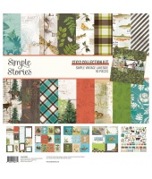 41277_f8e8445ea73d49a0b3354a7dc015fa84