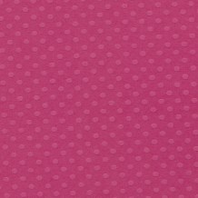 Bazzill Basics - Dotted Swiss PIROUETTE - scrapbooková čtvrtka